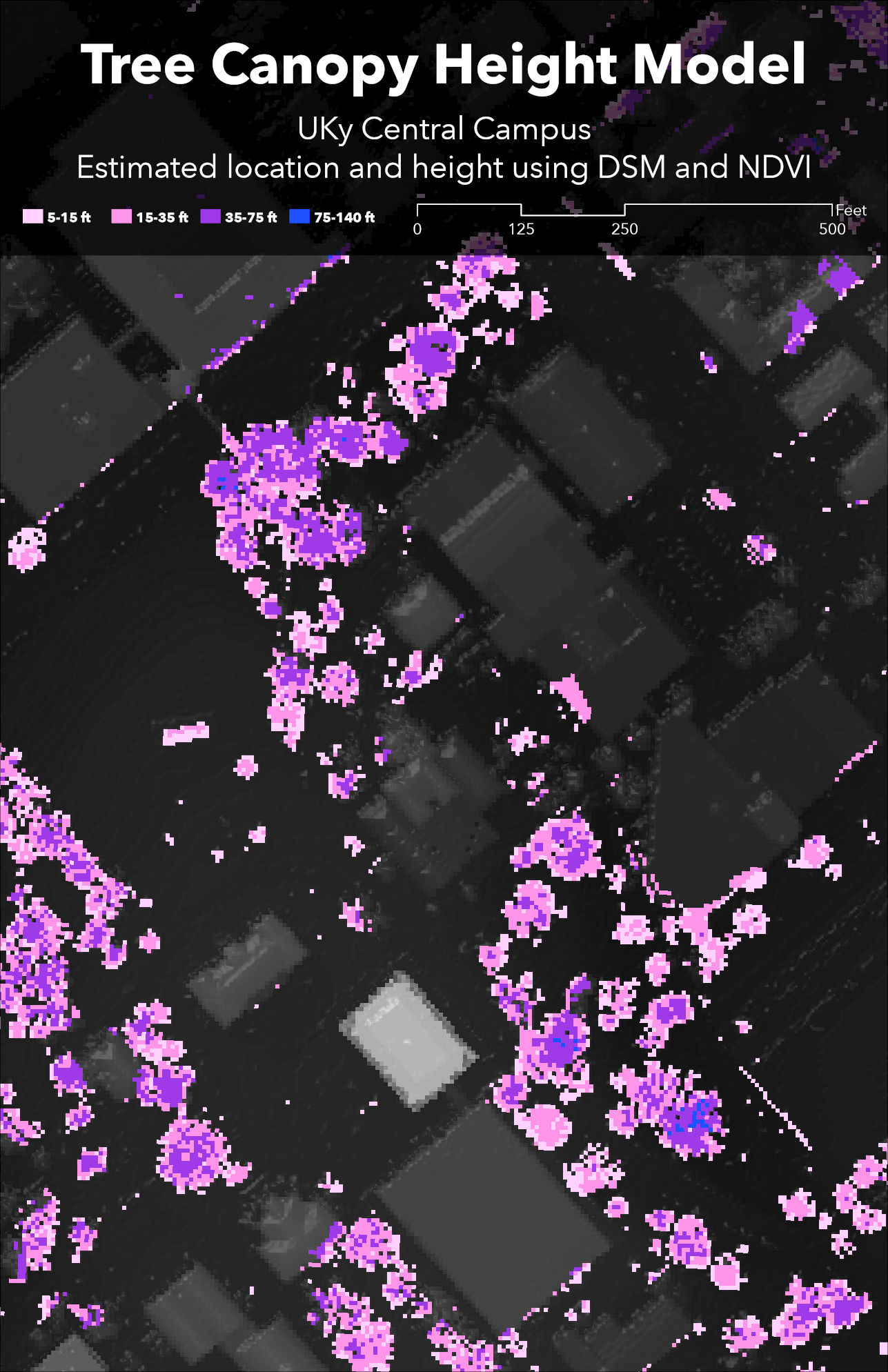 UKy Campus canopy model